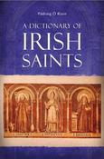 A Dictionary of Irish Saints image