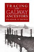 A Guide To Tracing Your Galway Ancestors image