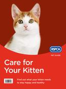 Care for Your Kitten image