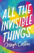 All the Invisible Things image