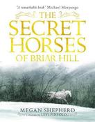 The Secret Horses of Briar Hill image