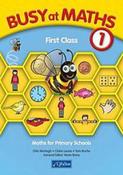 Busy at Maths 1 First Class CJ Fallon 1st image
