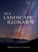 In a Landscape Redrawn image