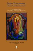 Irish Feminisms image