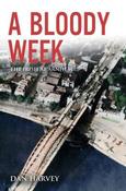 A Bloody Week: The Irish at Arnhem image