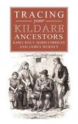 A Guide to Tracing Your Kildare Ancestors image