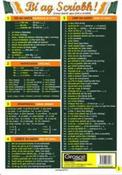 Bi Ag Scriobh Glance Card