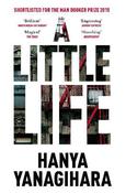 A Little Life image