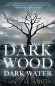 Dark Wood Dark Water image