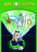 Am Don Leamh - Rang a Tri / 3rd Class image