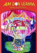 Am Don Leamh - Rang A Ceathair / 4th Class image