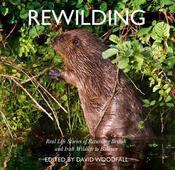 Rewilding: Real Life Stories of Returning British and Irish Wildlife to Balance image