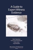 A Guide to Expert Witness Evidence image
