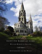 Cathedral Saint Fin Barre At Cork image