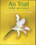 An Triail Leabhar Notaí Cabhair agus Cúnamh EDCO image
