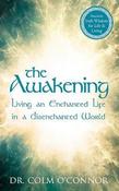 The Awakening: Living an Enchanted Life in a Disenchanted World image