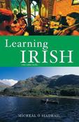 Learning Irish: Text with Online Media image