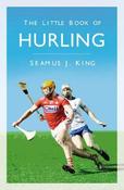 The Little Book of Hurling image