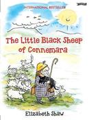 Little Black Sheep of Connemara