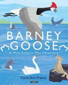 Barney Goose: A Wild Atlantic Way Adventure image