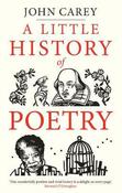 Little History of Poetry image