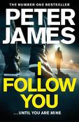 I Follow You image