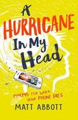 A Hurricane in my Head image
