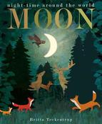 Moon: night-time around the world image