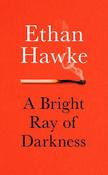 Bright Ray of Darkness image