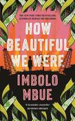 How Beautiful We Were image