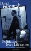 Politics and Irish Life 1913-21: Provincial Experiences of War and Revolution image