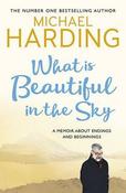 What is Beautiful in the Sky: A book about endings and beginnings image