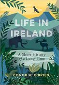 Life in Ireland: A Short History of a Long Time image