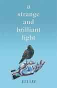 A Strange and Brilliant Light image
