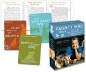Cesar's Way Deck: 50 Tips for Training and Understanding Your Dog image