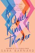 A Quiet Kind of Thunder image