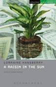 Sted:raisin In The Sun Sted image