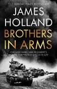 Brothers in Arms image