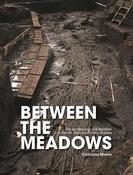 Between the Meadows: The archaeology of Edercloon on the N4 Dromod-Roosky Bypass image