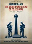 Remembrance : The World War I Dead of Co. Kildare image