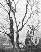 Dublin Photographs 1963 - A Pandemic Mirror 2020 image