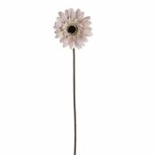 Ava Gerbera Cream 60cm image