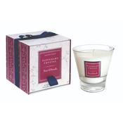 Tipperary Crystal Acai &amp; Pomelo Tumbler Candle image