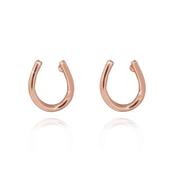 Tipperary Rose  Horseshoe Earrings image