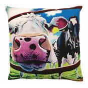 Eoin OConnor 45cm Cushion Breaking Boundaries image
