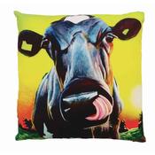 Eoin OConnor 45cm Cushion Little Miss Sunshine image