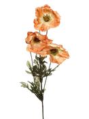 Amber Poppy Brown 73cm