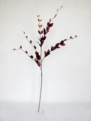 Lonicera Leaf Spray Burgundy 114cm