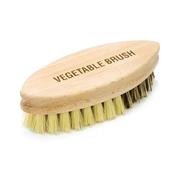 Palm Sized vegetable Brush Stiff Bristles 13x5x3.5 image