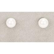 Newgrange White Shell Pearl Stud Earrings image